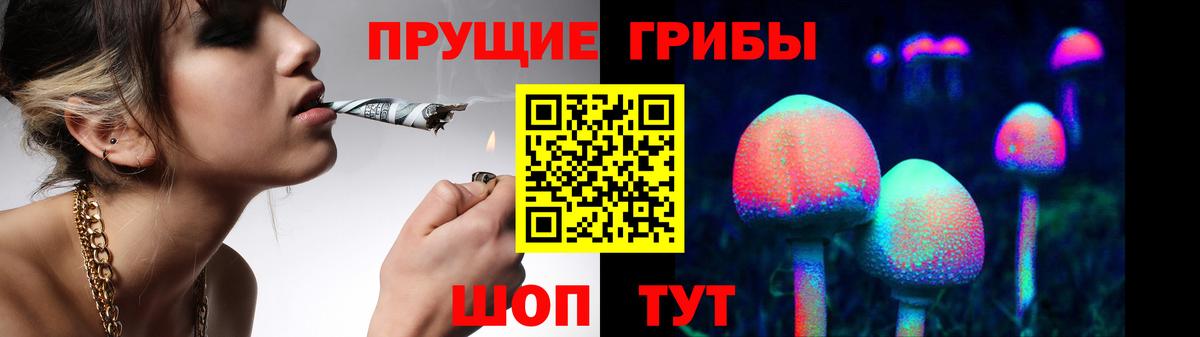 Галлюциногенные грибы Psilocybe Губкин
