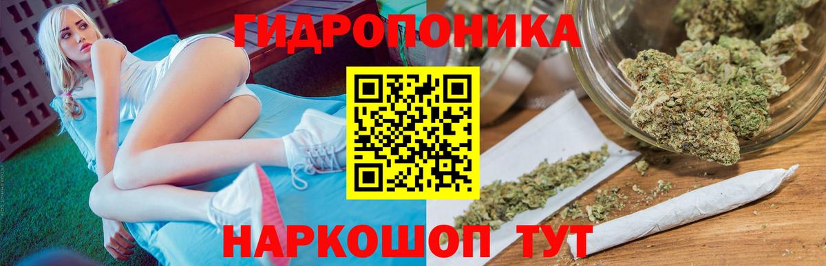 Бошки марихуана планчик Губкин